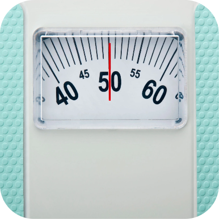 weight scale